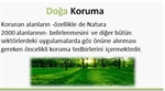 Doğa Koruma